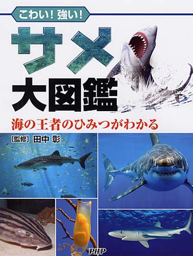 サメ大図鑑