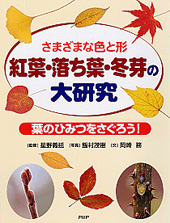 紅葉・落ち葉・冬芽の大研究