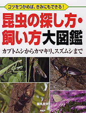 昆虫の探し方・飼い方大図鑑