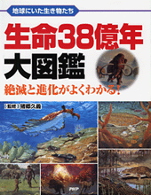 ��̿38��ǯ��޴�