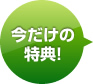 ����������ŵ!