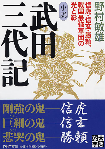 小説 武田三代記