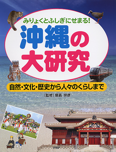 沖縄の大研究