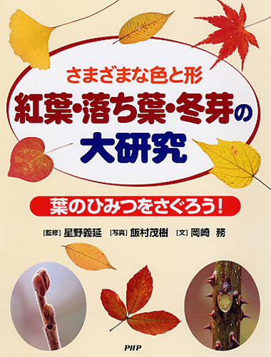 紅葉・落ち葉・冬芽の大研究