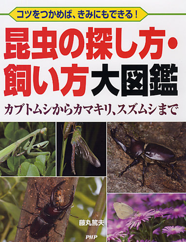 昆虫の探し方・飼い方大図鑑