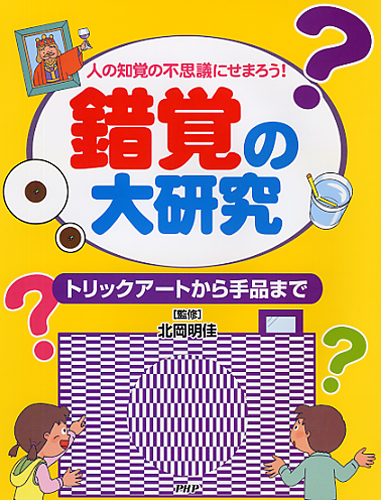 錯覚の大研究