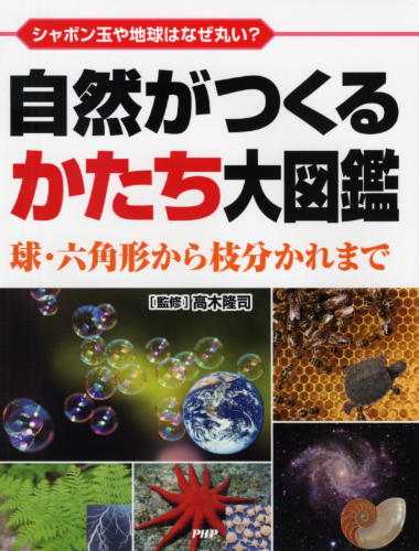 自然がつくるかたち大図鑑