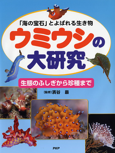 ウミウシの大研究