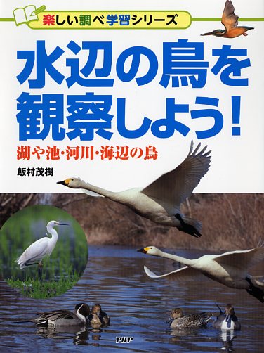 水辺の鳥を観察しよう！