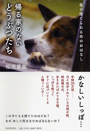 帰る家のないどうぶつたち 書籍 Php研究所