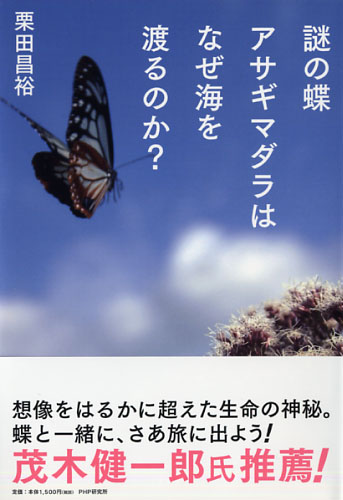 謎の蝶アサギマダラはなぜ海を渡るのか？