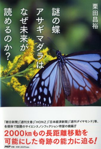 謎の蝶アサギマダラはなぜ未来が読めるのか？