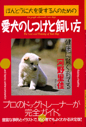 愛犬のしつけ方と飼い方