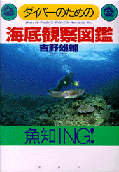 海底観察図鑑