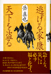 逃げる家康 天下を盗る