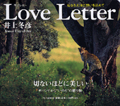 ラブレター