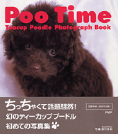 Poo Time