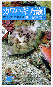 カワハギ万歳！