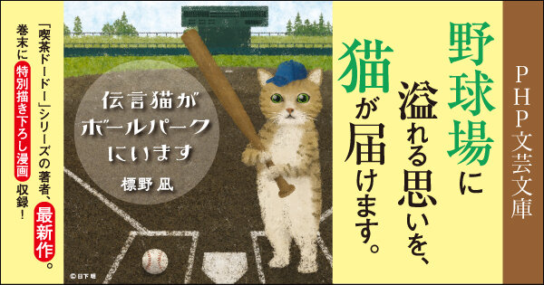 伝言猫がボールパークにいます