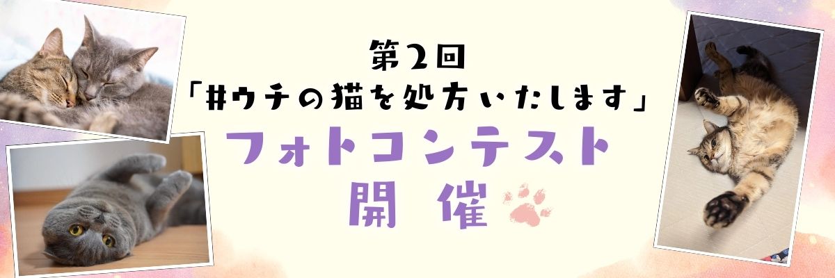 「猫を処方いたします。」シリーズキャンペーン情報