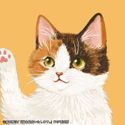 「猫を処方いたします。」シリーズ SNSアイコン