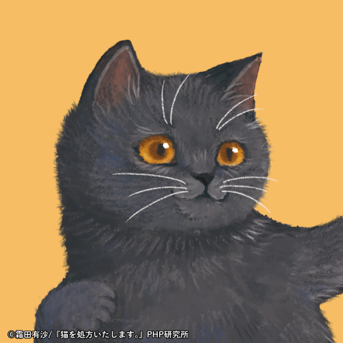 「猫を処方いたします。」シリーズ SNSアイコン