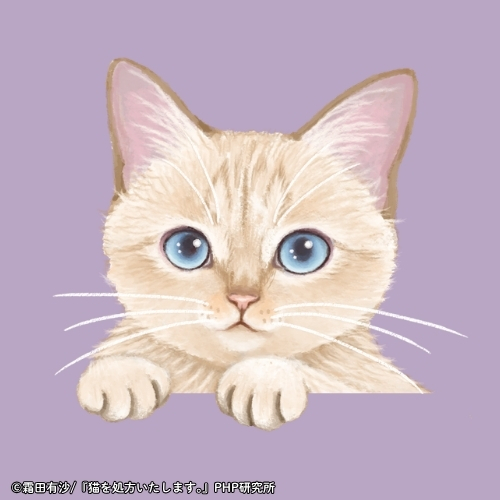 「猫を処方いたします。」シリーズ SNSアイコン