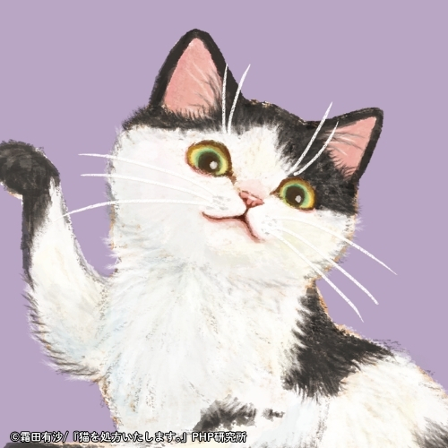 「猫を処方いたします。」シリーズ SNSアイコン