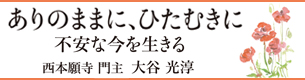 ありのままにひたむきに　不安な今を生きる