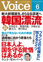 Voice