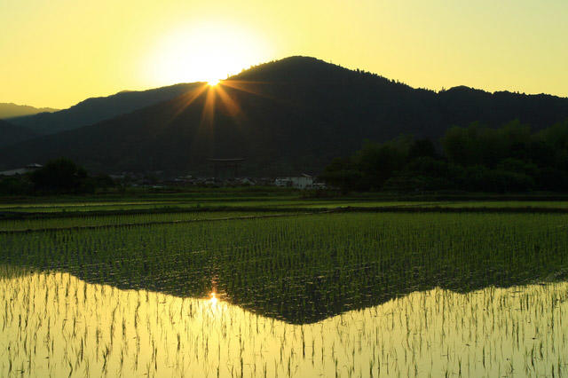 2020年9月号は特集《焦らない、あわてない　どっしり構えて生きる！》