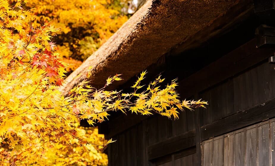 果断と行動 ～ 11月の言葉