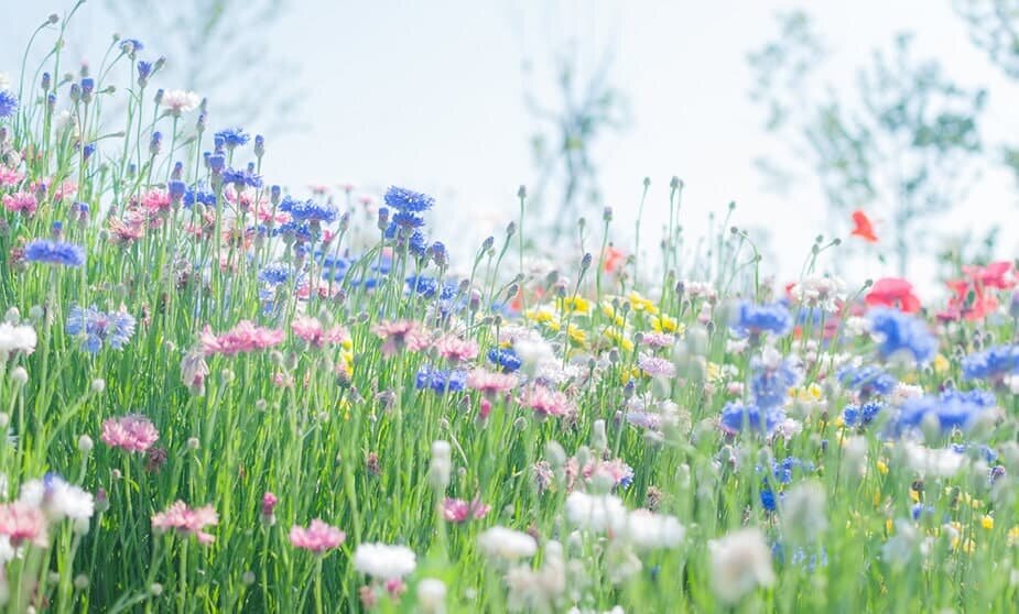 命から考える～6月の言葉