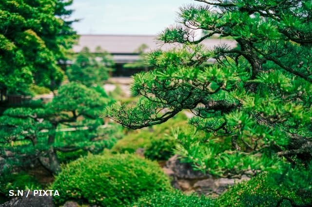 そこにこそあれ～ 7月の言葉