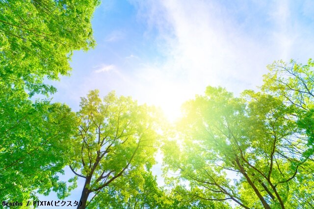 わくわく～ ６月の言葉