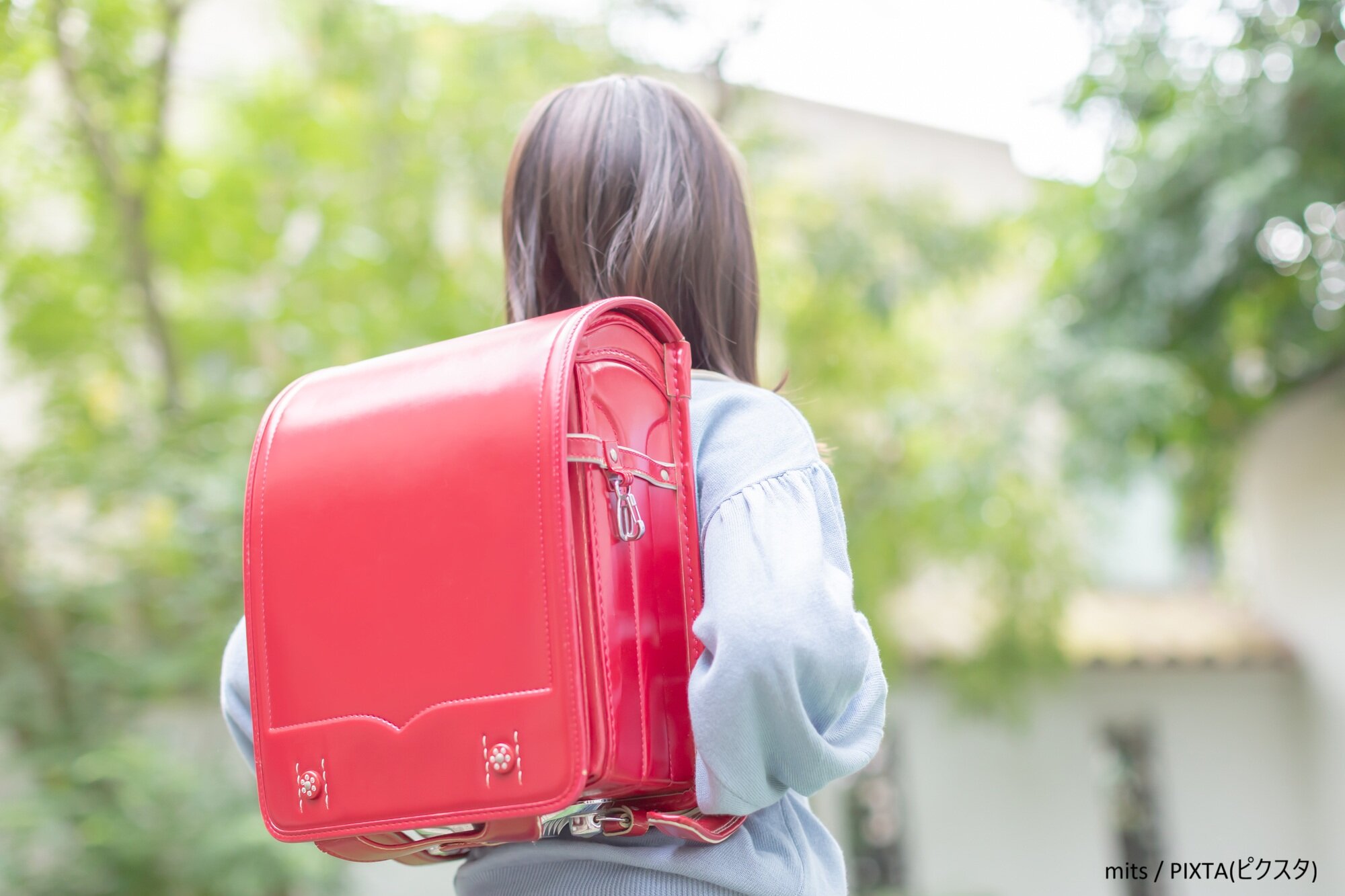 白いカーネーション...エッセイ「生きる」