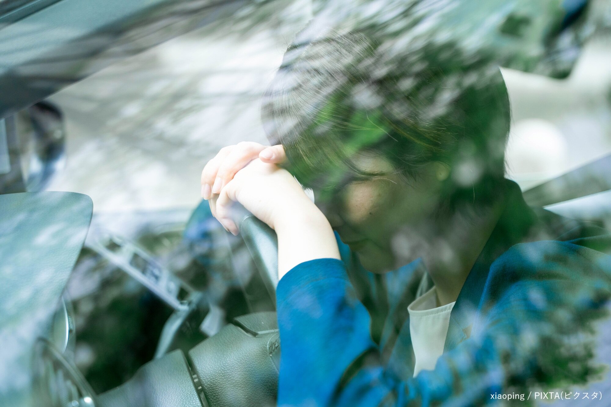 パンジーをもらったあの日...エッセイ「生きる」