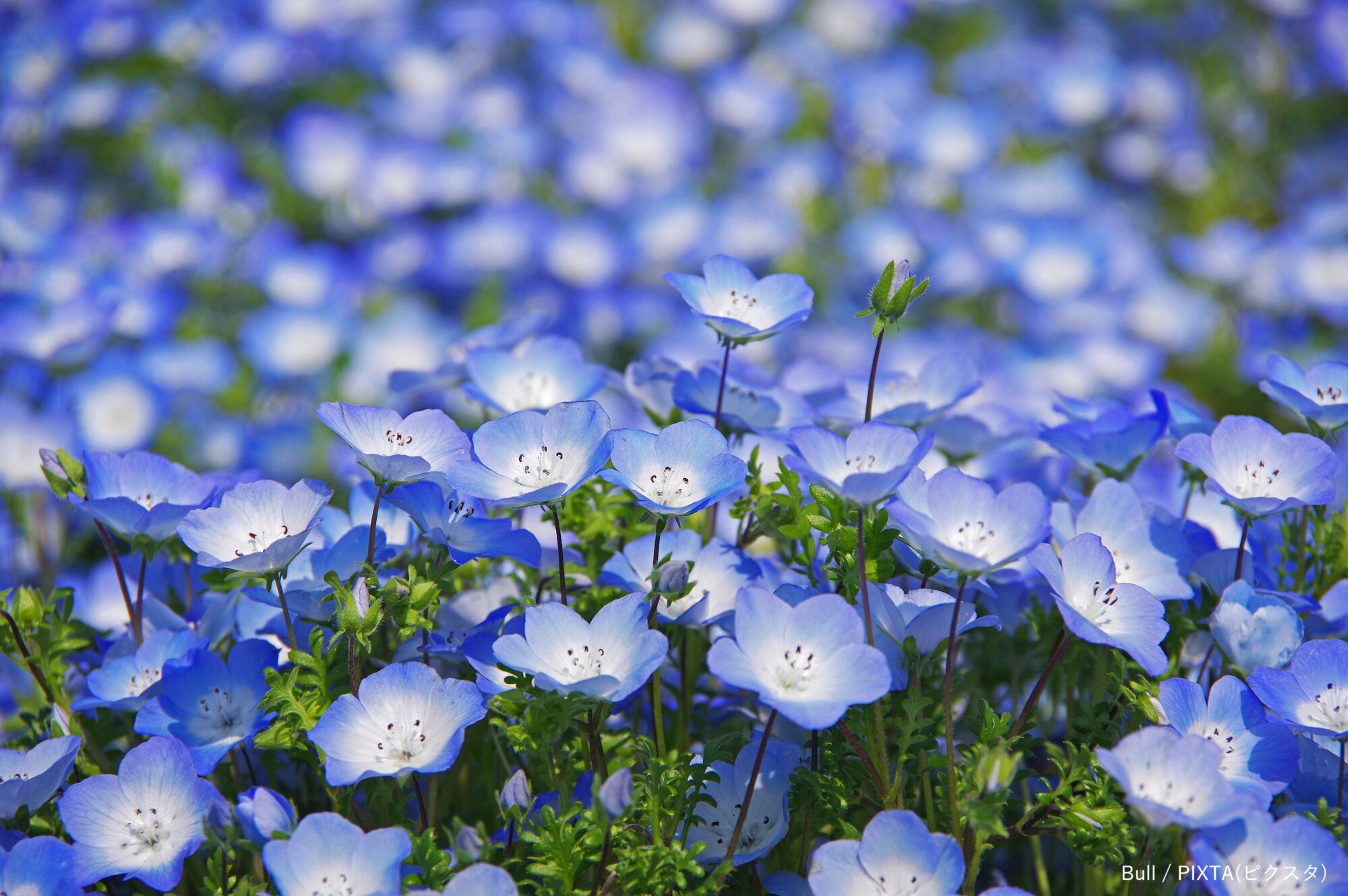 傷つくこと~5月の言葉